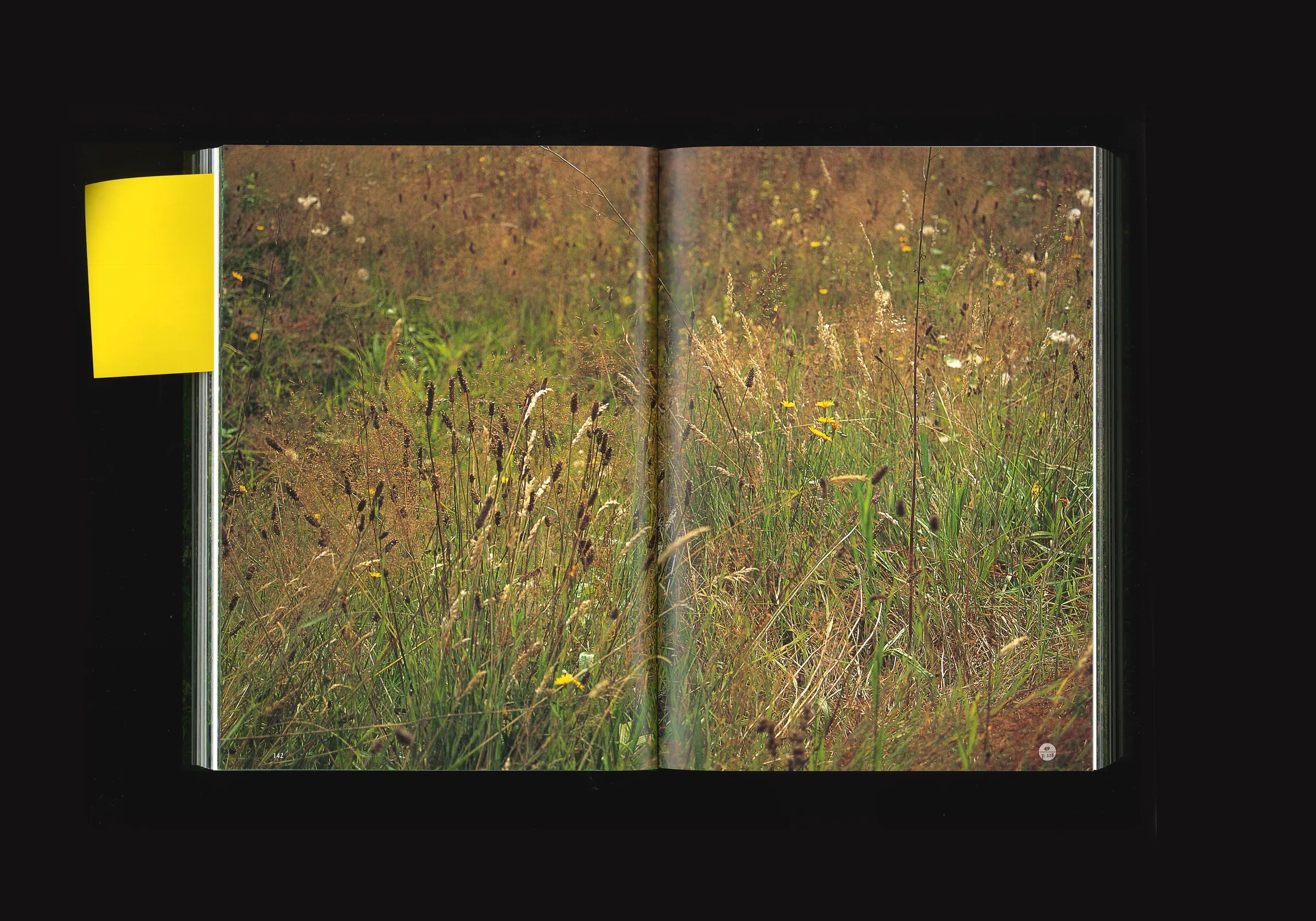 Essay on Gardening, image 7